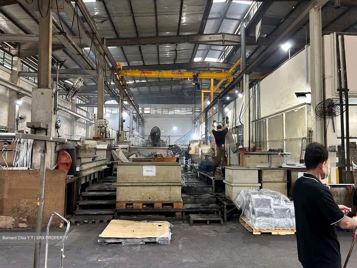Techpoint (D20), Factory #552414031